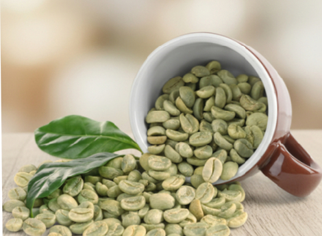 The Art of Growing Premium Rice