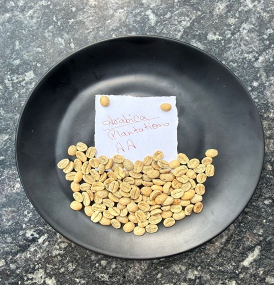 The Art of Growing Premium Rice