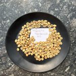 Robusta Plantation AA