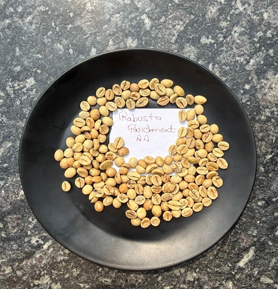 The Art of Growing Premium Rice