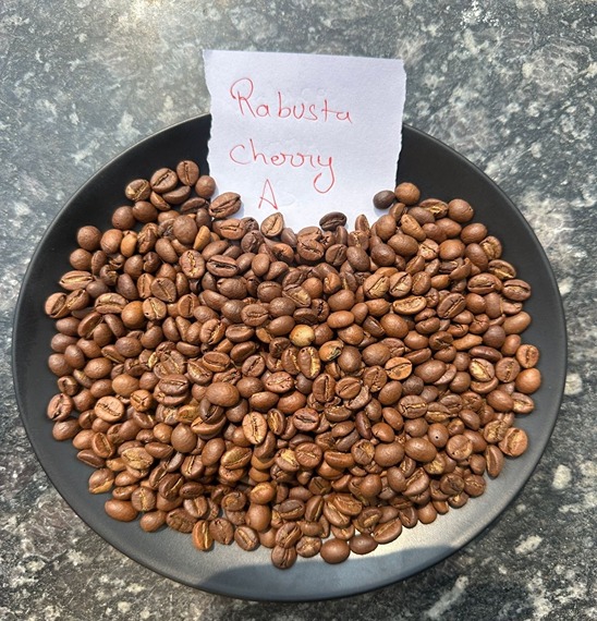 The Art of Growing Premium Rice