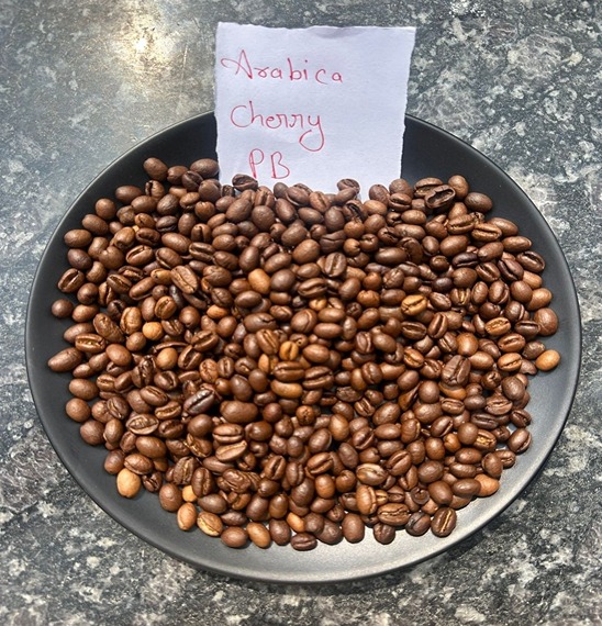 The Art of Growing Premium Rice