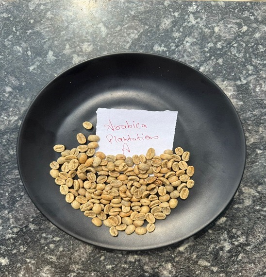 The Art of Growing Premium Rice