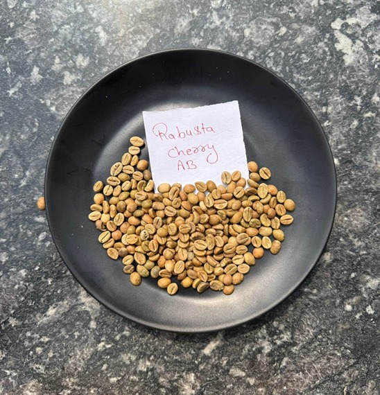 The Art of Growing Premium Rice