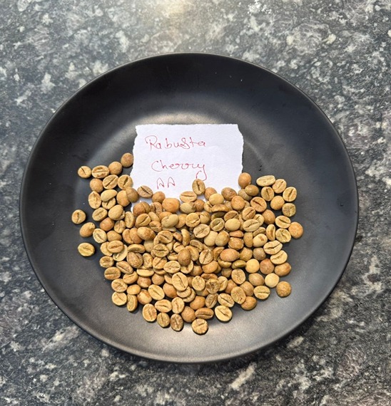 The Art of Growing Premium Rice