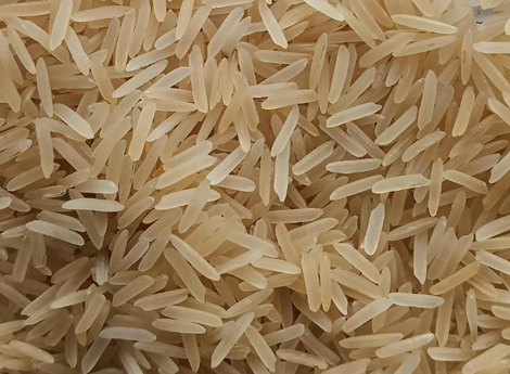 The Art of Growing Premium Rice