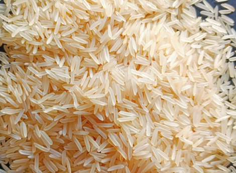 The Art of Growing Premium Rice