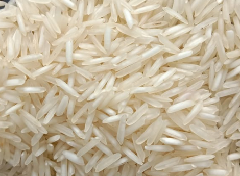 The Art of Growing Premium Rice